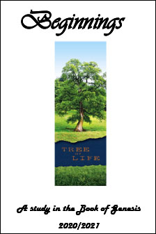beginnings-cover beginnings-cover