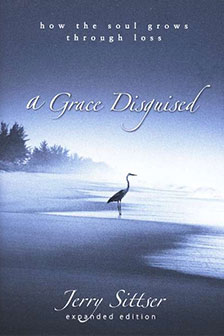 grace-disguised grace-disguised